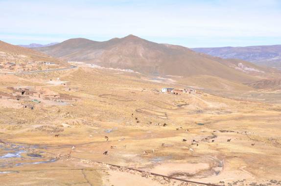 Rebanho de lhamas wm meio à montanhas na viagem entre Potosí e Tarija - Boívia